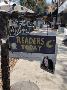 enchanted notions st pete palm readings