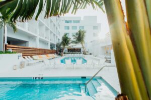 Pool behind a palm tree at the Sarasota Modern hotel in Sarasota, Florida