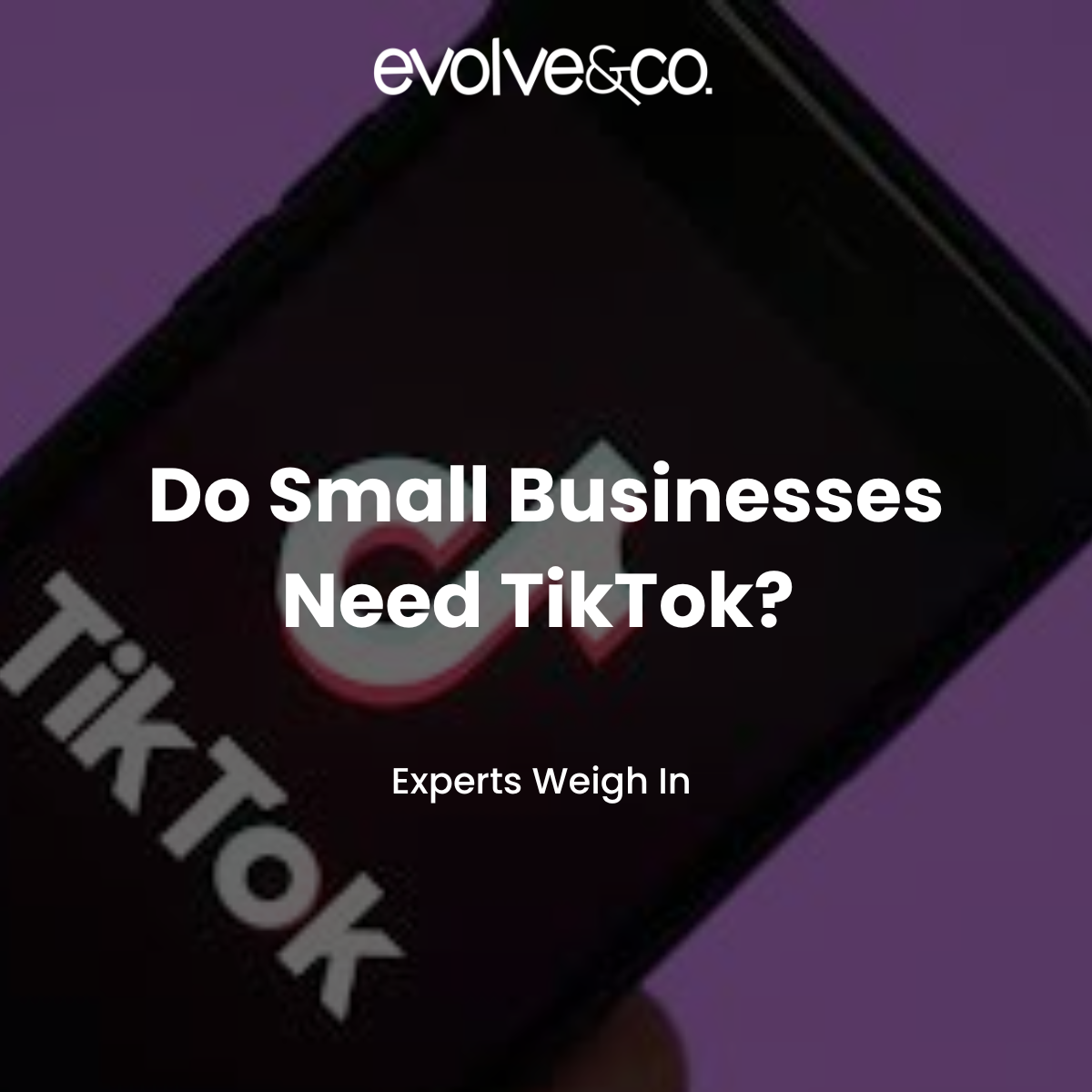Do Small Businesses Need Tiktok? 