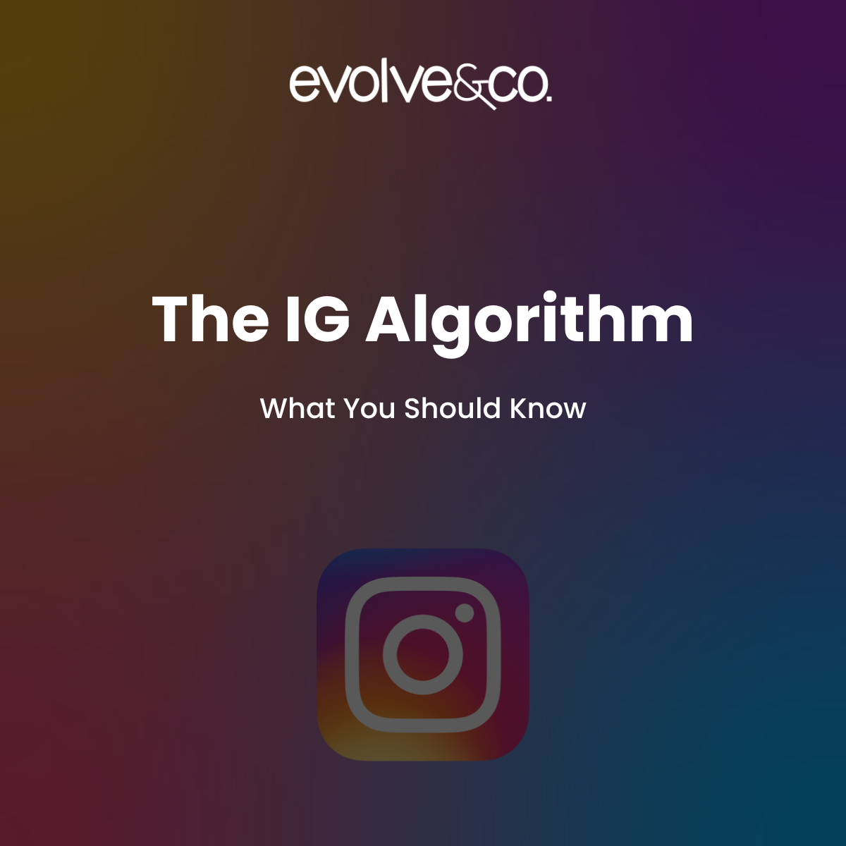 The IG Algorithm